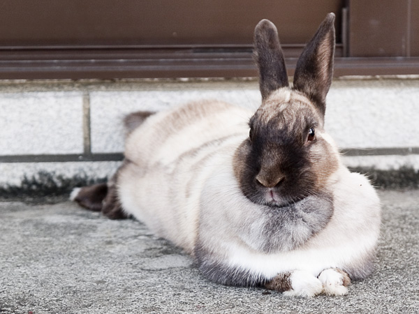 kun04_060421nesoberi