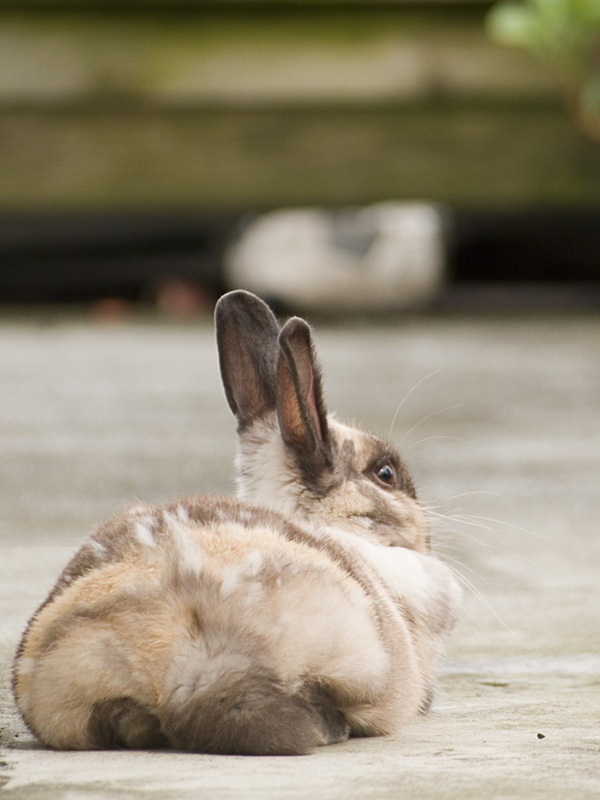 kun_back03_061123_tate