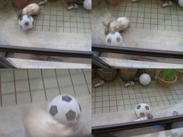 kun_soccer01