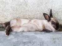 kun_mzo060512_04side