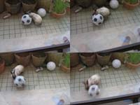 kun_soccer02