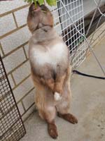 stand_training050608